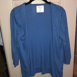 American Eagle blue cardigan